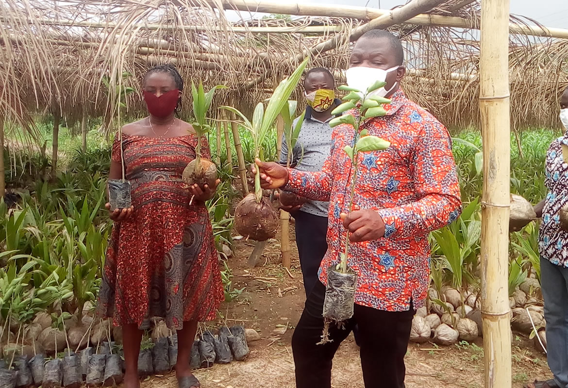 Launching Of 1 Household 1 Fruit Tree And Distribution Of More Seedlings To Farmers In Ho West District