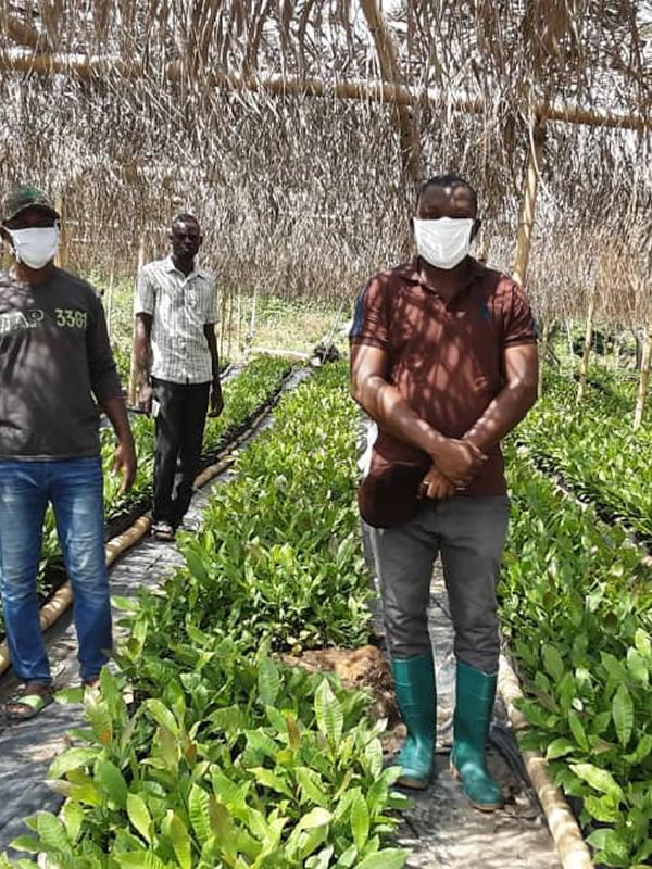 District Chief Executive Inspects Nurseries And Farms In Ho West